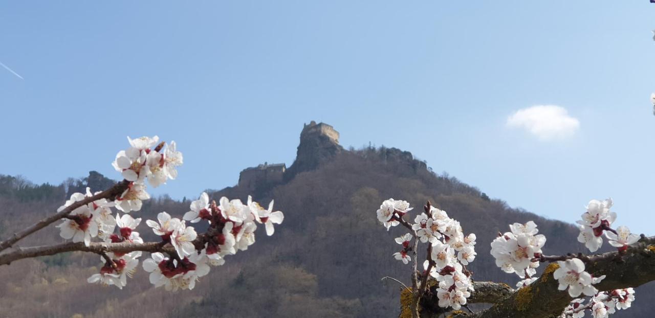 Donauwirt - Hotel Garni 魏森基兴 外观 照片
