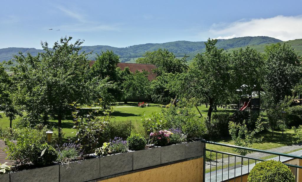 Donauwirt - Hotel Garni 魏森基兴 外观 照片