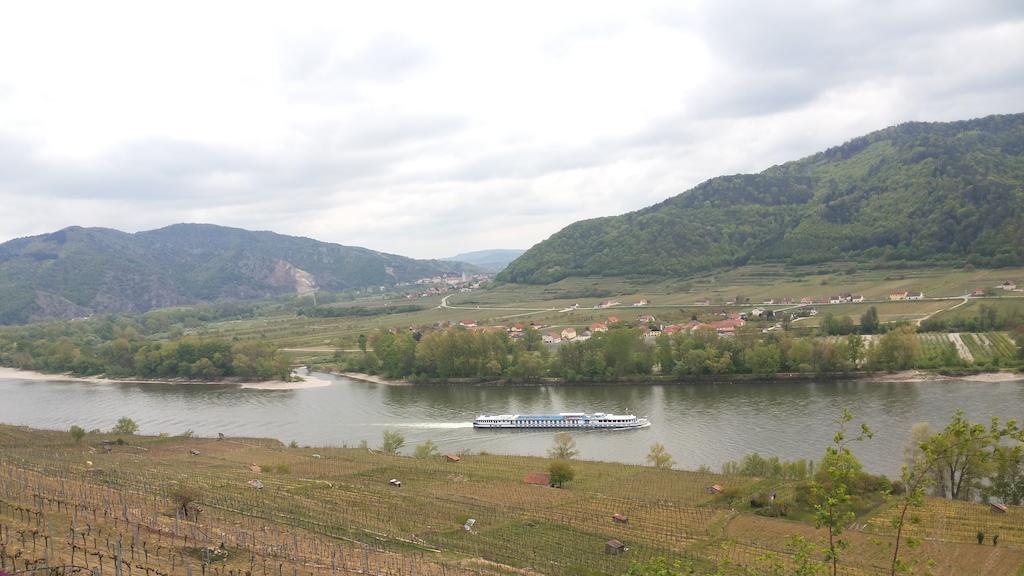 Donauwirt - Hotel Garni 魏森基兴 外观 照片