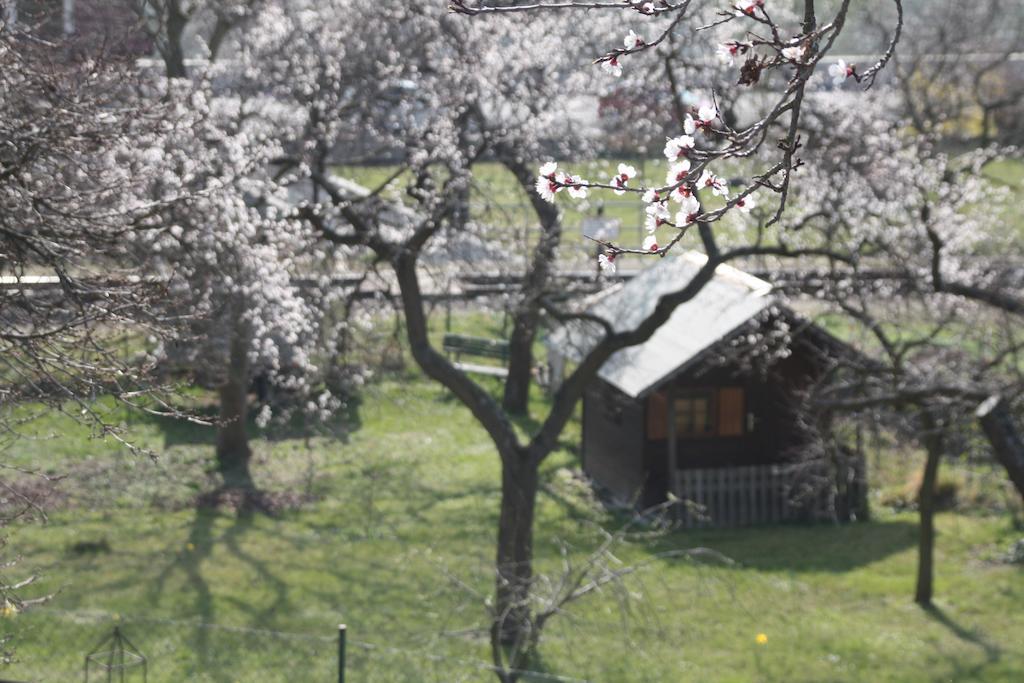 Donauwirt - Hotel Garni 魏森基兴 外观 照片